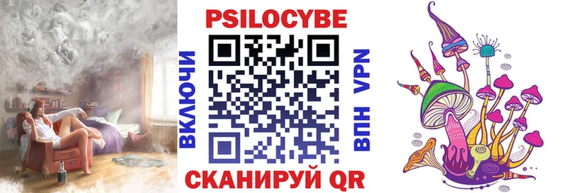 как найти наркотики  Севск  Галлюциногенные грибы Psilocybe 